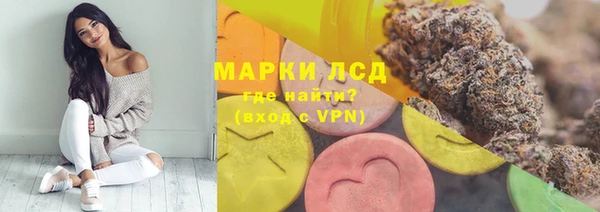 шишки Аркадак