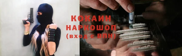 шишки Аркадак