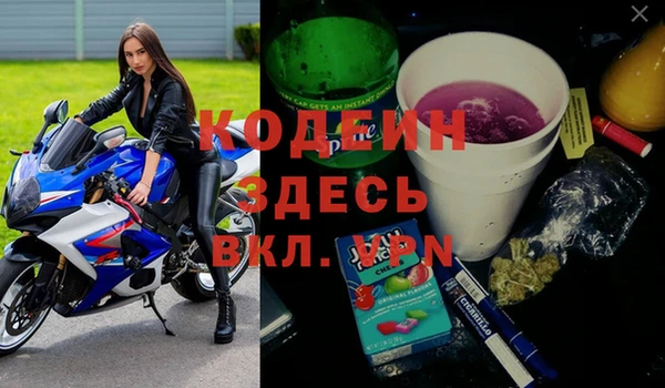 шишки Аркадак