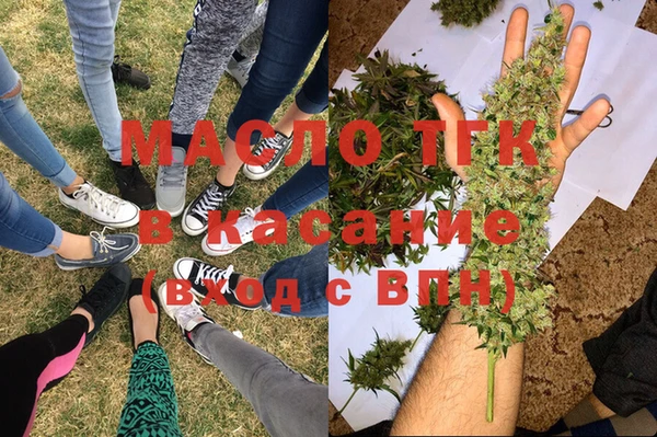 шишки Аркадак