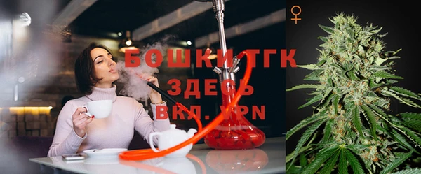 шишки Аркадак
