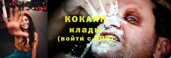 шишки Аркадак